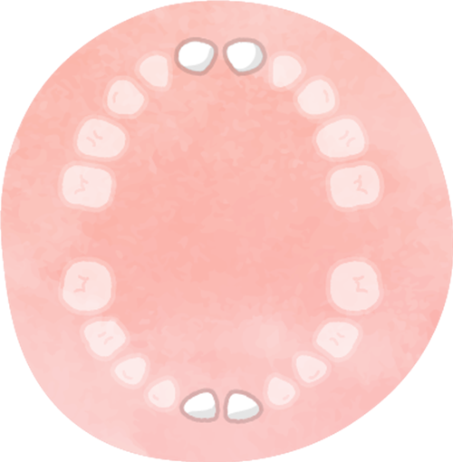 カミカミ期(9~11ヶ月)