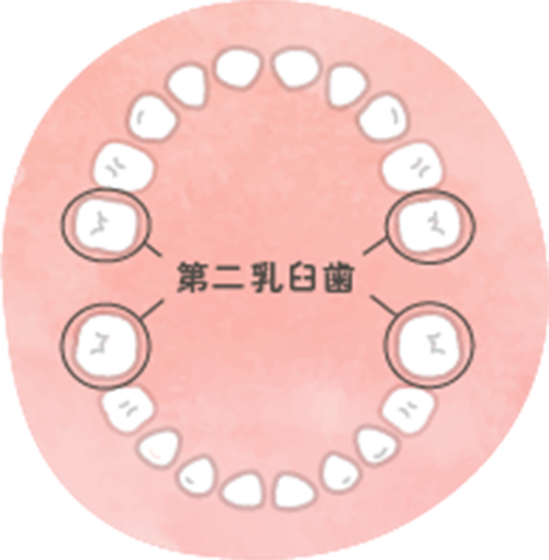 幼児食・後期(3~5歳)