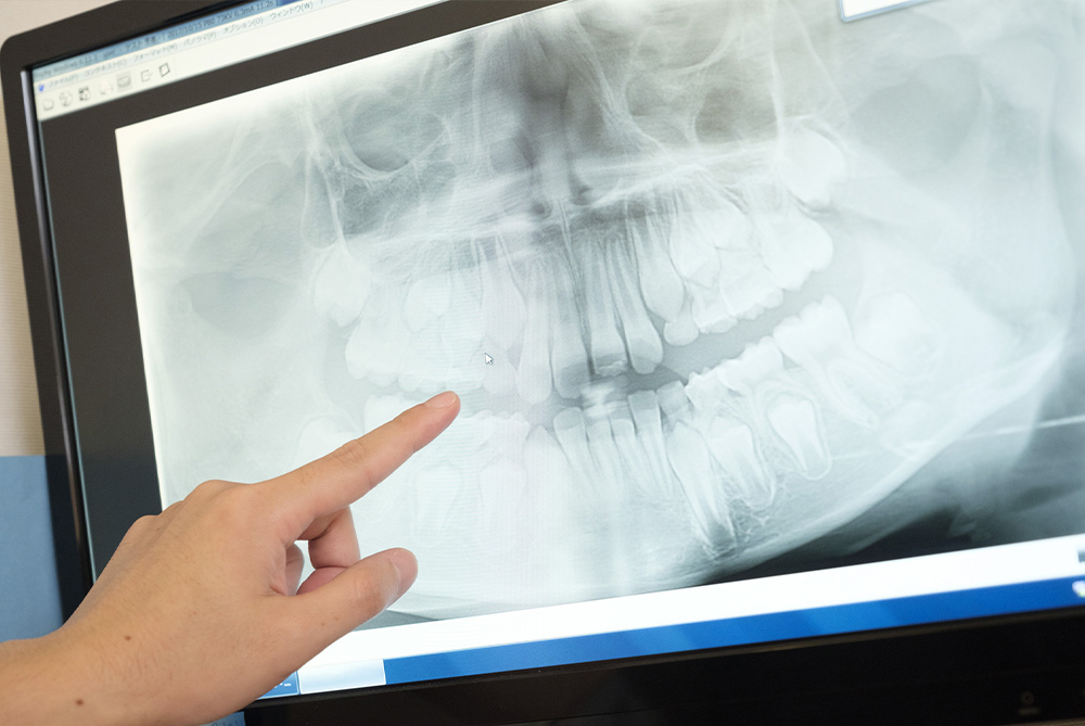 ●レントゲン・薬も一緒に相談しながら